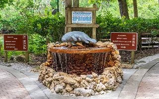 Manatee statue and fountain near the entrance to Ellie Schiller Homosassa Springs Wildlife State Park – Homosassa Springs, cheap car insurance in Florida