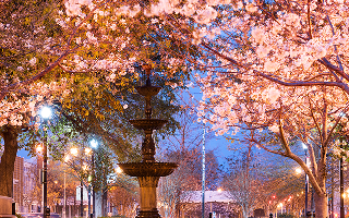 Macon, Georgia, USA downtown square in spring season with the fountain – Macon, cheap car insurance in Georgia